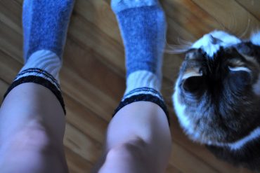 sleepwalking-children