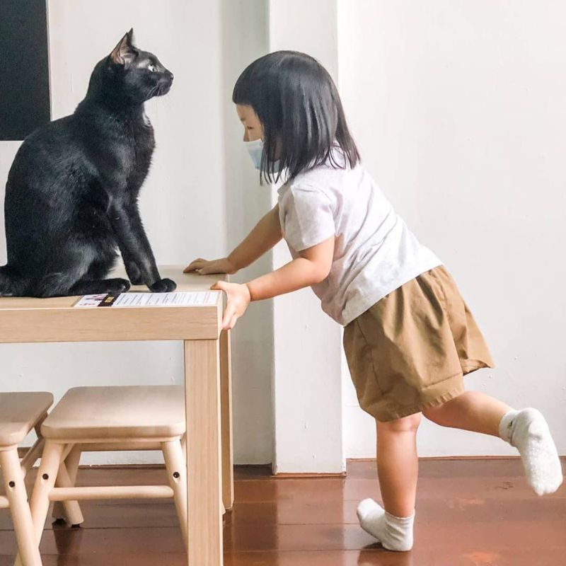 CATOPIA Cafe - Cat Cafes in Singapore