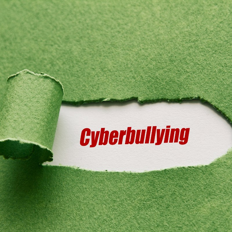 Cyberbullying Online