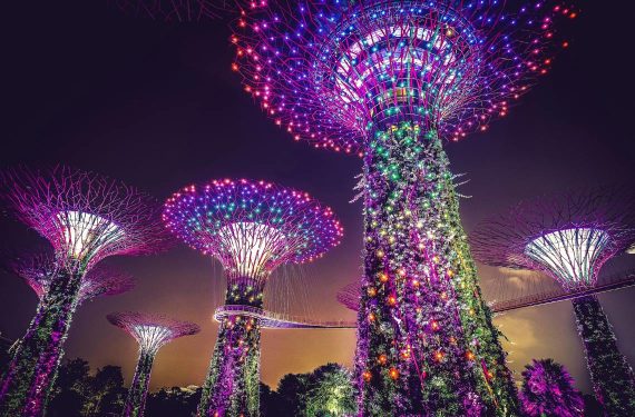 Things to do in Singapore at Night