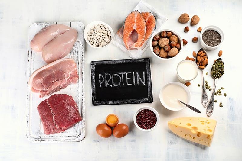 protein