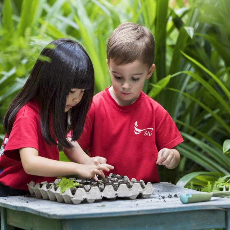 Benefits of Gardening for Kids