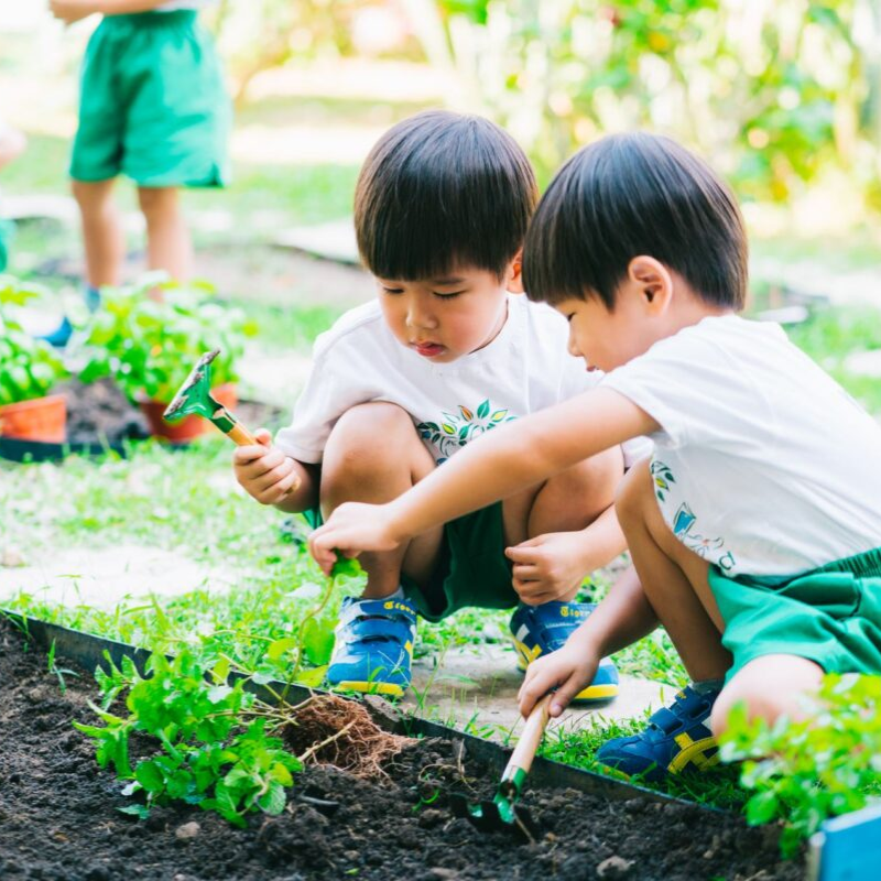 Gardening Activities for Kids in Singapore