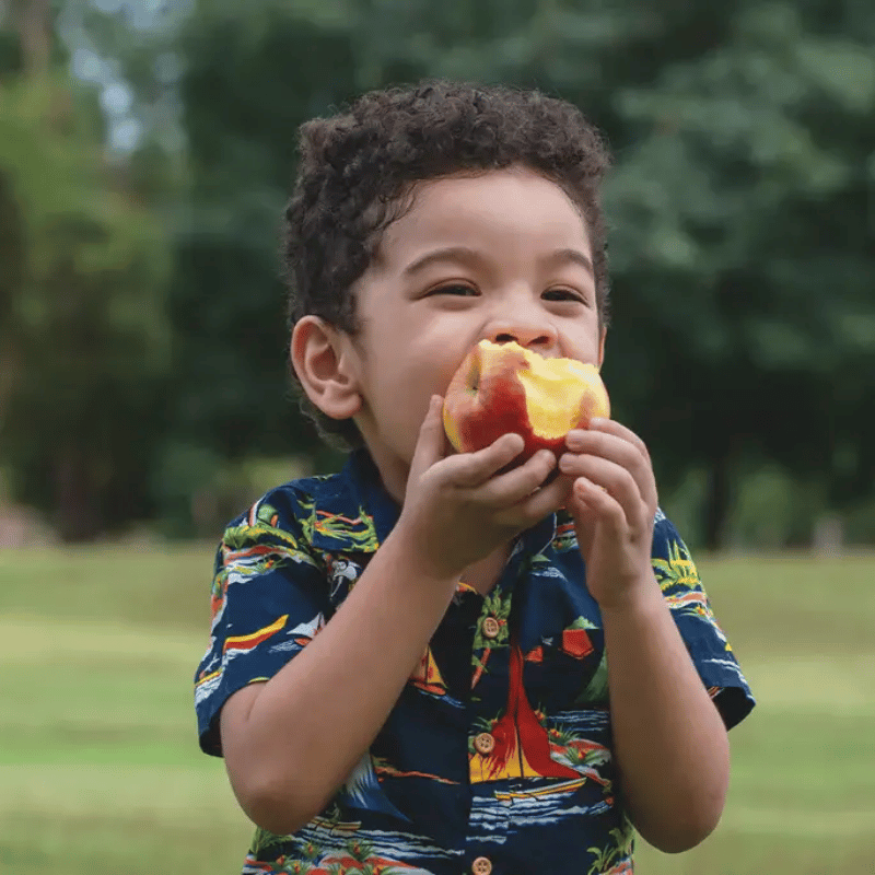 Healthy Eating for Toddlers