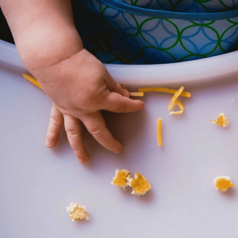 Manage a Toddler Food Strike