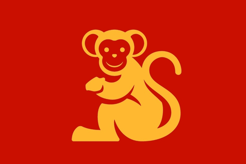 monkey