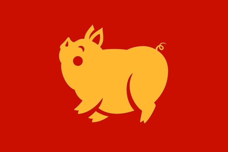 pig